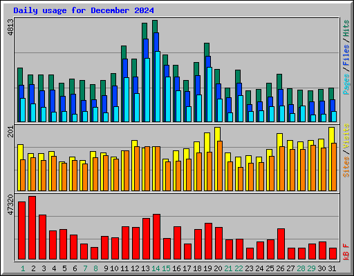 Daily usage for December 2024