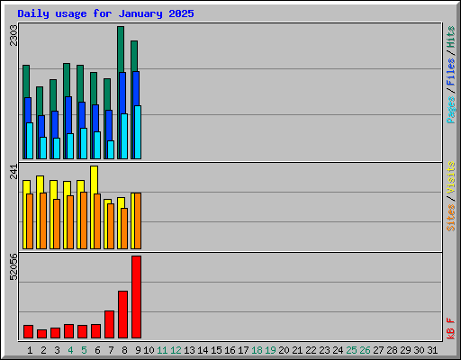 Daily usage for January 2025