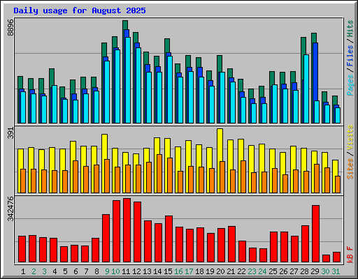 Daily usage for August 2025