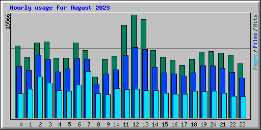 Hourly usage for August 2023