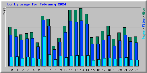 Hourly usage for February 2024