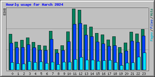 Hourly usage for March 2024