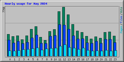 Hourly usage for May 2024