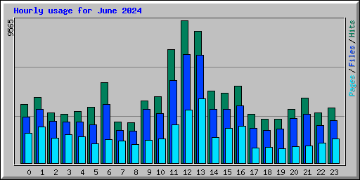 Hourly usage for June 2024