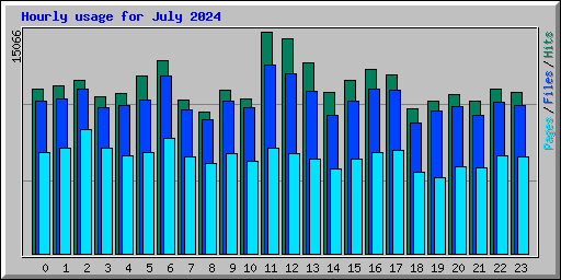 Hourly usage for July 2024