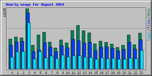 Hourly usage for August 2024