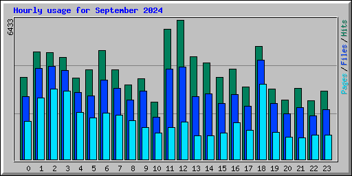 Hourly usage for September 2024