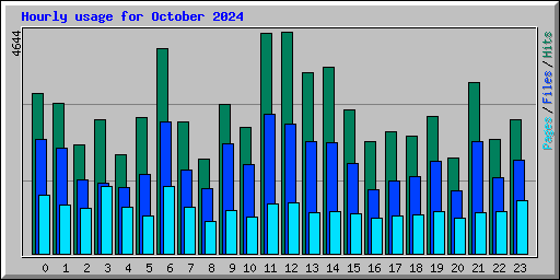 Hourly usage for October 2024