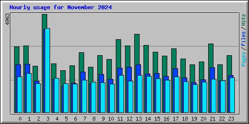 Hourly usage for November 2024