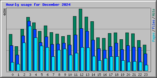 Hourly usage for December 2024