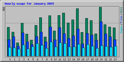 Hourly usage for January 2025