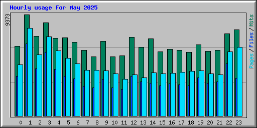Hourly usage for May 2025