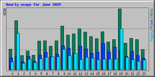 Hourly usage for June 2025