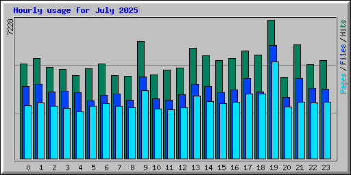 Hourly usage for July 2025
