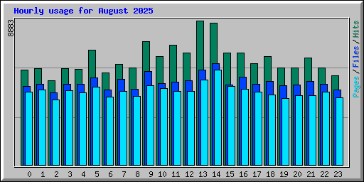 Hourly usage for August 2025