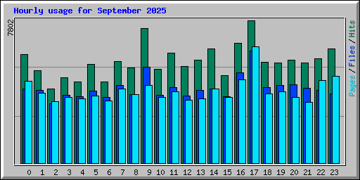Hourly usage for September 2025