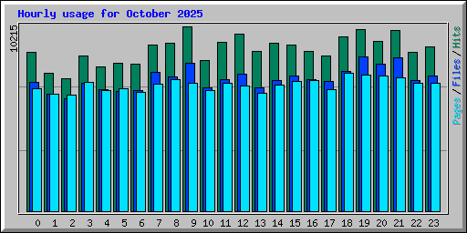 Hourly usage for October 2025