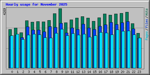 Hourly usage for November 2025