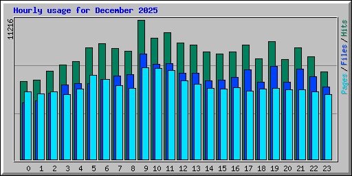 Hourly usage for December 2025