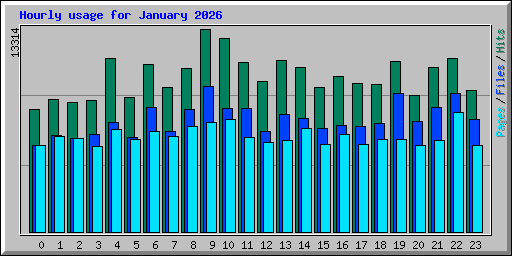Hourly usage for January 2026