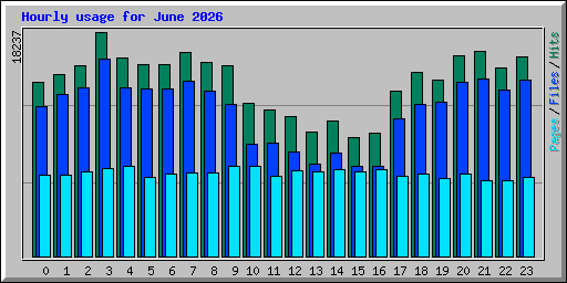 Hourly usage for June 2026