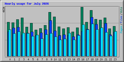 Hourly usage for July 2026