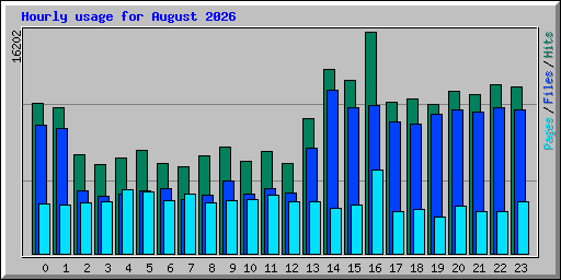 Hourly usage for August 2026